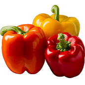 Organic Bell Peppers - for a healthy life